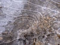 Von Kiesansammlung in Eisdecke gehen geschwungene helle Linien aus